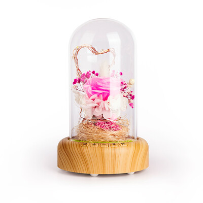 

Tropical forest Mid-Autumn Festival gift for family birthday gift for girlfriend wife wife girlfriends creative gift vibrating with the streamer wishing bottle night light Bluetooth stereo speaker eternal flower