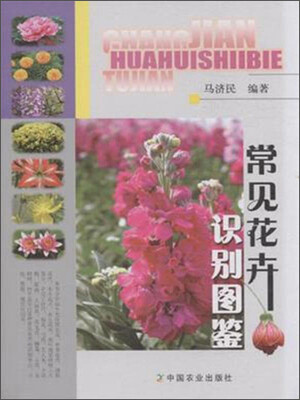 

常见花卉识别图鉴