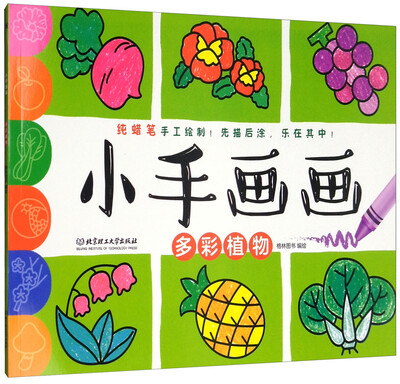 

小手画画：多彩植物