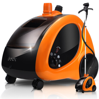 

SALAV GS29-BJ Standing Steamer