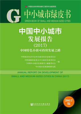 

皮书系列·中小城市绿皮书：中国中小城市发展报告（2017）