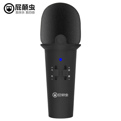 

Hifi MC-800 Cone Microphone Singing K-Pop Private Microphone Andrews Apple Voice Recorder Universal Microphone Black