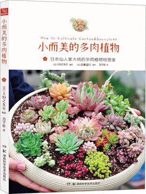 

小而美的多肉植物