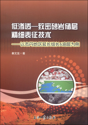 

低渗透—致密砂岩储层精细表征技术：以志丹地区延长组长6油层为例