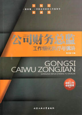 

公司财务总监工作细化执行与模块