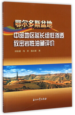 

鄂尔多斯盆地中部地区延长组低渗透致密岩性油藏评价