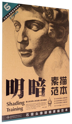 

石膏头像明暗素描范本