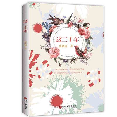 

这二十年