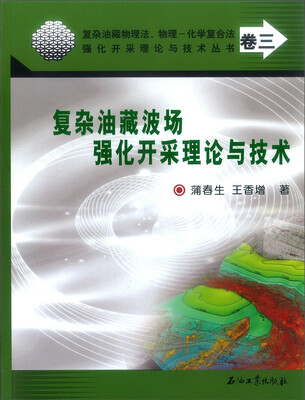 

复杂油藏物理法、物理 化学复合法强化开采理论与技术丛书卷三复杂油藏波场强化开采理论与技术