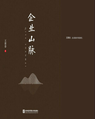 

企业山脉