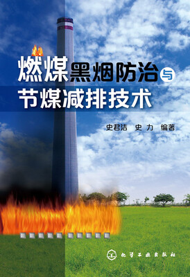 

燃煤黑烟防治与节煤减排技术