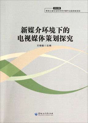 

新媒介环境下的电视媒体策划探究