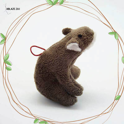 

Cat Chew Toy RaccoonBeaverMachine Mouse Durable Squeaky Catnip Plush Nontoxic Toy