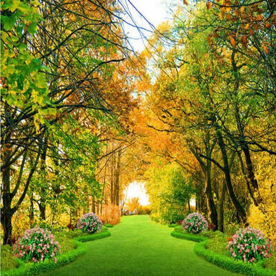 

3D фото обои бульвар фон гостиная ванная комната лобби на заказ 3D стерео спальня офис украшение обои