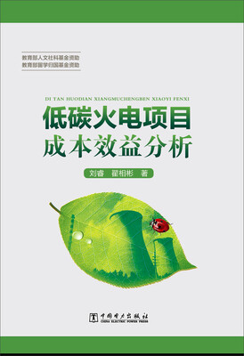 

低碳火电项目成本效益分析