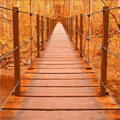 

Free Shipping Aesthetic Wooden Bridge Autumn Woods flooring wallpaper restaurant porch waterproof wear floor mural 250cmx200cm