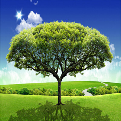 

Custom 3D Photo Mural Wallpaper Bedroom Designs 3D Large HD Mural Grassland Green Trees Study Room Background Decor Wall Papers