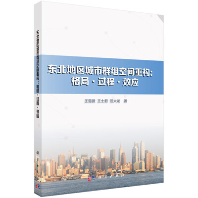 

东北地区城市群组空间重构：格局·过程·效应