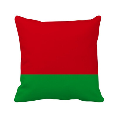 

Belarus National Flag Asia Country Square Throw Pillow Insert Cushion Cover Home Sofa Decor Gift