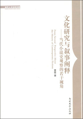 

文化研究与叙事阐释 当代小说史观察的若干视角