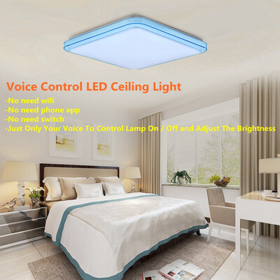 

36W Intelligent Voice Control LED Ceiling Light