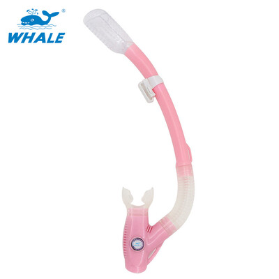 

Whale Brand горячая распродажа профессиональное снаряжение для подводного плавания с подводным плаванием