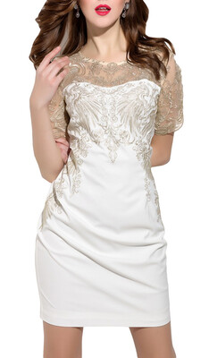 

Bigood Women Ladies Mesh Embroider Lace Bodycon Mini Dress Party Skirt
