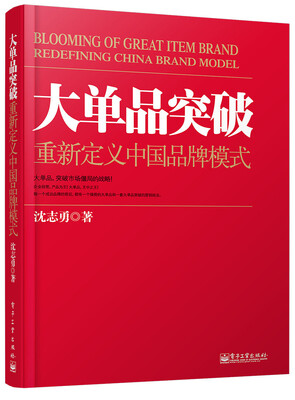

大单品突破——重新定义中国品牌模式