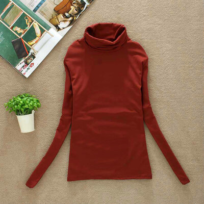 

BACHASH 2017 High Quality Fashion Spring Autumn Winter Sweater Women Wool Turtleneck Pullovers Fashion Womens Solid Sweaters
