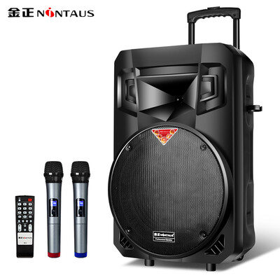 

Jinzheng NINTAUS N39 15 inch square dance speaker portable outdoor portable mobile dual wireless microphone rod player