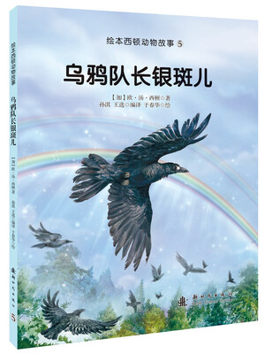 

乌鸦队长银斑儿