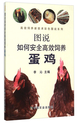 

图说如何安全高效饲养蛋鸡