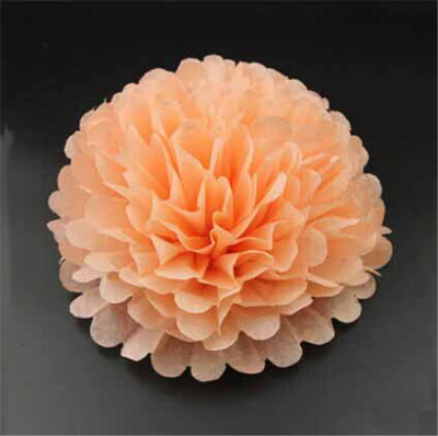 

25cm Craft Paper Tissue Ceiling Decor Wall Decor Hanging Paper poms Flower Ball Wedding Party Outdoor Decoration Flower