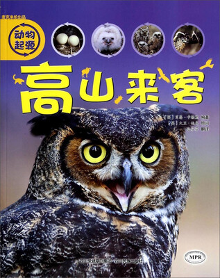 

动物起源高山来客