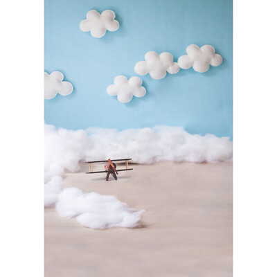 

Dragonfly&White clouds Cartoon Background 57FT Vinyl Fabric Cloth Digital Printing Photo Studio Backdrop S-3040