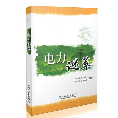 

电力谜萃