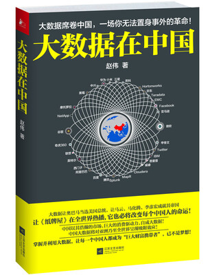 

大数据在中国