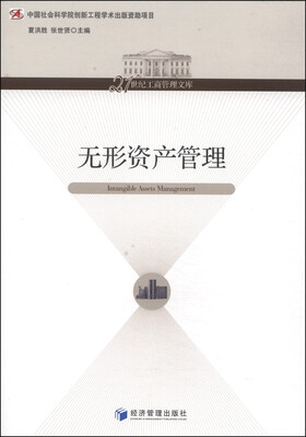 

无形资产管理/21世纪工商管理文库