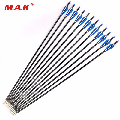 

12 шт. 30 дюймов Стрелка из стекловолокна Шип 500 Диаметр 8 мм Пластиковое перо для соединения Лук Стрельба из лука Охота Стрельба