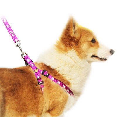 

Xi Shuai pet leash rope chest strap set nylon dog rope dog chain cat rope purple footprints cat small dog for 15cm 140cm