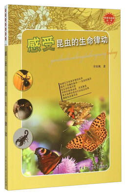 

感受昆虫的生命律动