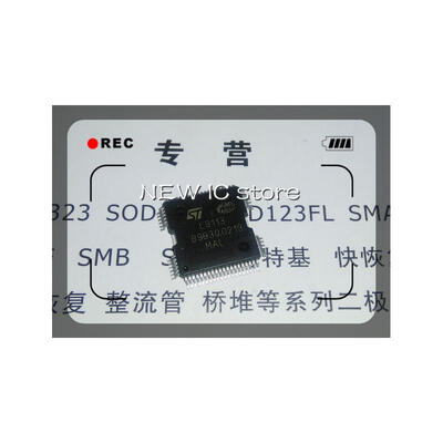 

Free shipping 10PCS/LOT L9113 car driver ic QFP-64 Best quality