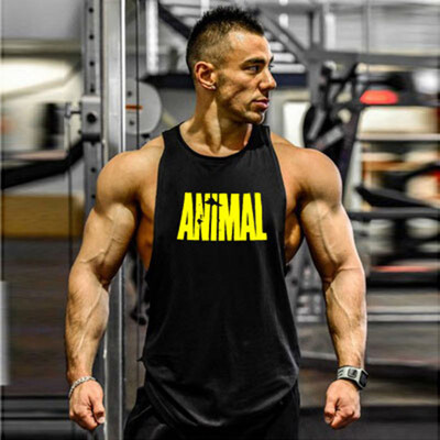 

Фитнес, фитнес, жилет, спорт, препятствия, мужской летний хлопок и мужской пот жилет.