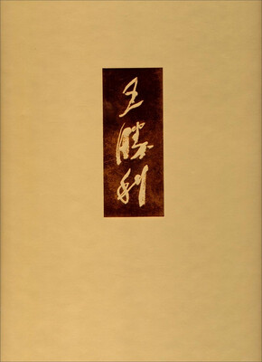 

中国当代油画名家画集：王胜利