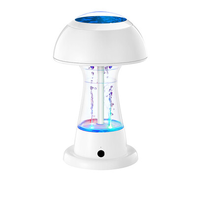

Flower birthday gift projection fountain Bluetooth audio creative gift practical gift to send his girlfriend to send boyfriend to send girlfriends to send wife to husband