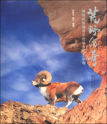 

荒野传奇：神秘的新疆塔尔巴哈台野生动物