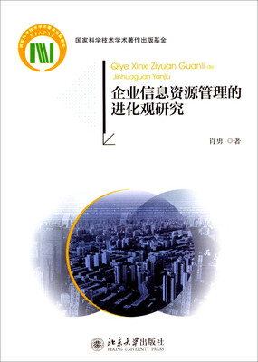 

企业信息资源管理的进化观研究