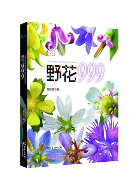 

野花999/自然观察丛书