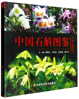 

中国石斛图鉴