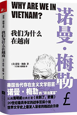 

我们为什么在越南